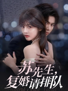 短剧苏先生，复婚请排队海报