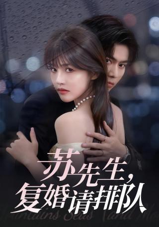 短剧苏先生，复婚请排队海报