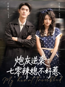 短剧炮灰逆袭：七零辣媳不好惹海报