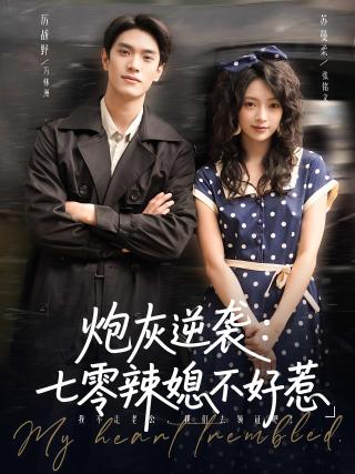 短剧炮灰逆袭：七零辣媳不好惹海报