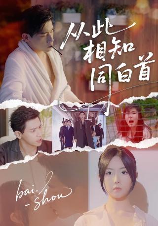短剧从此相知同白首海报