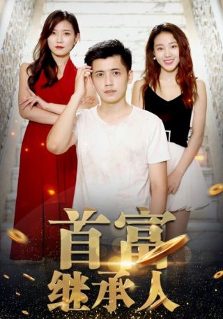 短剧首富继承人海报