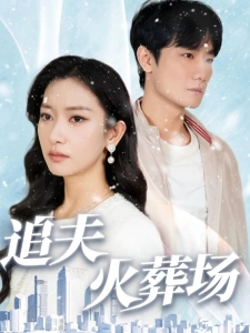 短剧追夫火葬场海报
