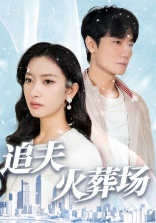 短剧追夫火葬场海报