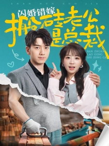 短剧闪婚错嫁搬砖老公是总裁海报