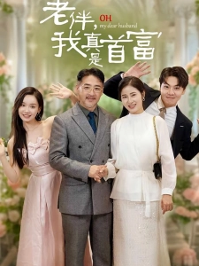 短剧老伴，我真是首富海报