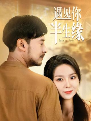 短剧遇见你半生缘海报