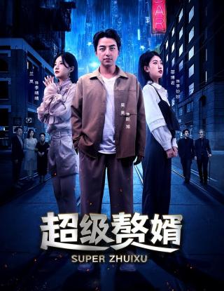 短剧超级赘婿海报