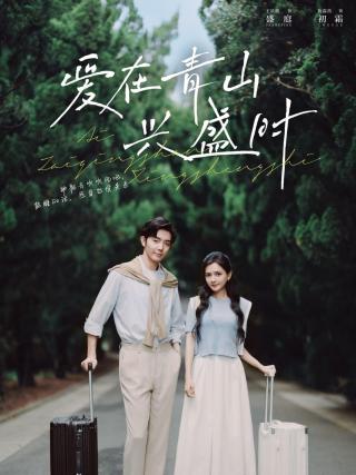 短剧爱在青山兴盛时海报