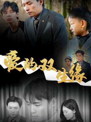 短剧爱的双生缘海报