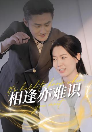 短剧相逢亦难识海报