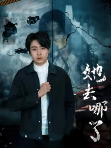 短剧她去哪了海报