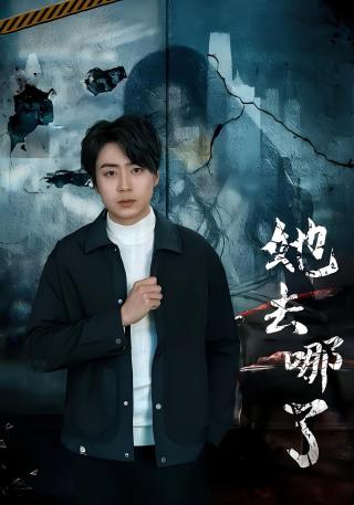 短剧她去哪了海报