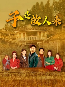 短剧子是故人来海报