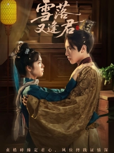 短剧雪落又逢君海报