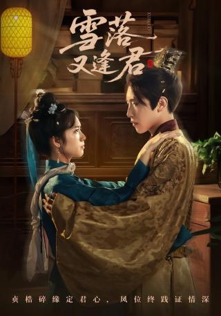 短剧雪落又逢君海报