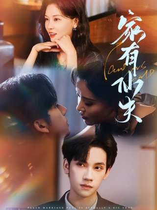 短剧家有仙夫海报