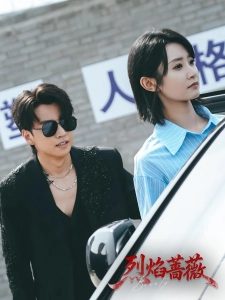 短剧烈焰蔷薇海报