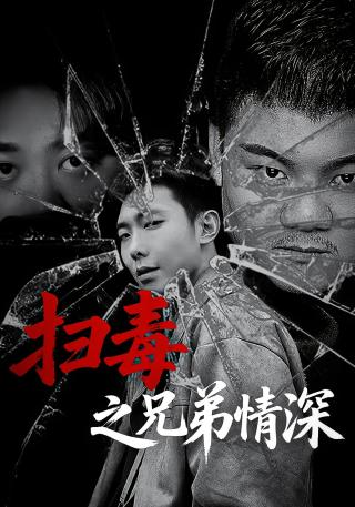 短剧扫毒之兄弟情深海报