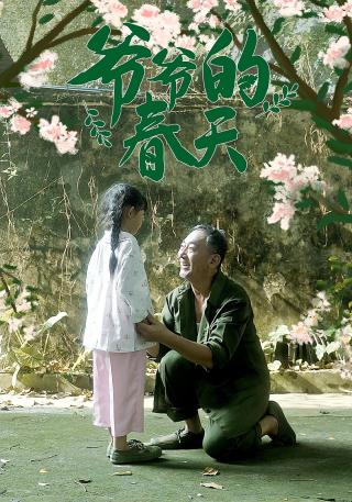 短剧爷爷的春天海报