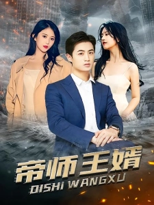 短剧帝师王婿海报