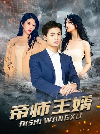 短剧帝师王婿海报