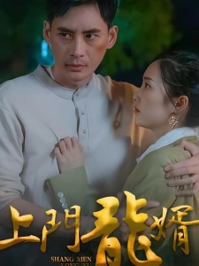 短剧上门龙婿海报