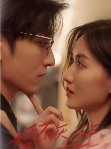 短剧婚不厌诈海报