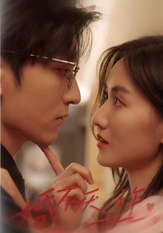 短剧婚不厌诈海报