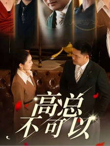 短剧高总不可以海报