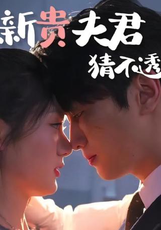 短剧新贵夫君猜不透海报