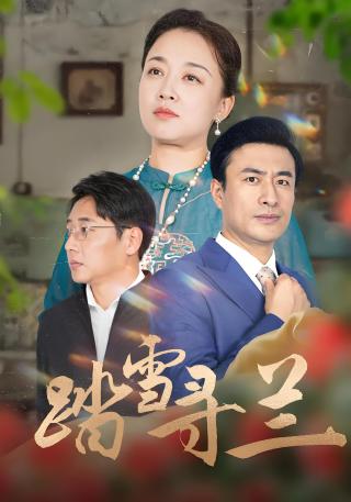 短剧踏雪寻兰海报