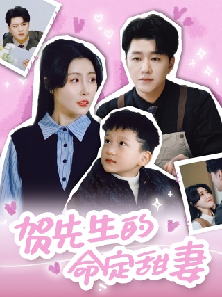 短剧贺先生的命定甜妻海报