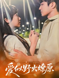 短剧爱似野火燎原海报