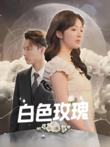 短剧白色玫瑰海报