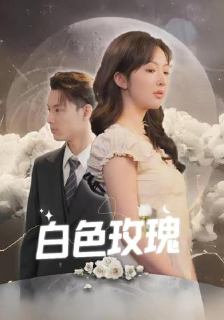 短剧白色玫瑰海报