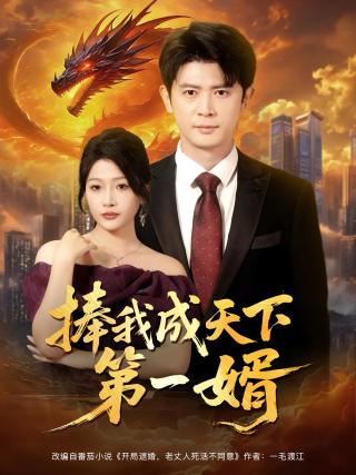 短剧捧我成天下第一婿海报