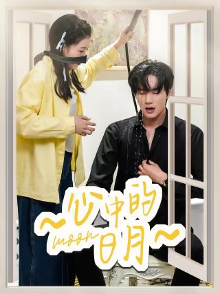 短剧心中的日月海报