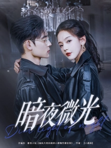 短剧暗夜微光海报