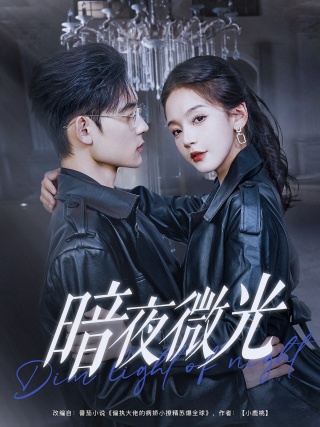 短剧暗夜微光海报