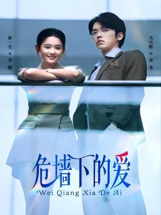 短剧危墙下的爱海报