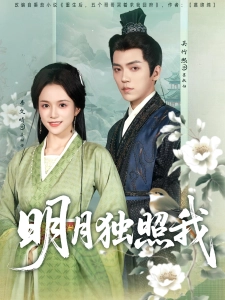 短剧明月独照我海报