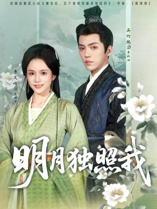 短剧明月独照我海报