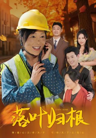 短剧落叶归根海报