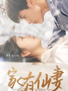 短剧家有仙妻海报