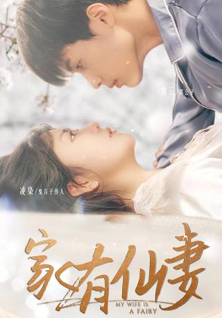 短剧家有仙妻海报