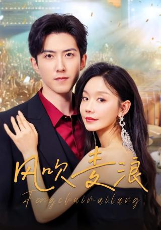 短剧风吹麦浪海报