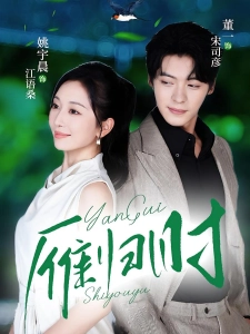 短剧雁归时海报