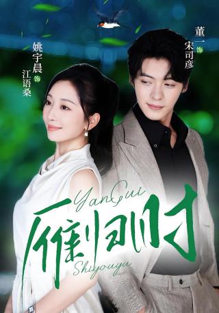 短剧雁归时海报