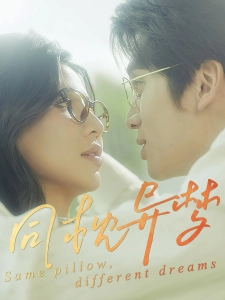 短剧同枕异梦海报